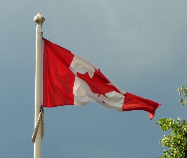 Canada Day - Canadian Flag - Toronto, Canada - Maple Leaf - Flag