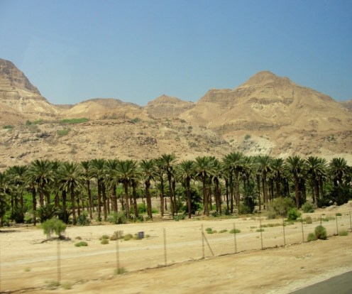 Ein Ghedi, Oasis, Dead Sea, Judean Wilderness