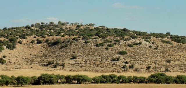 Khirbet Qeiyafa - Elah Valley - Israel - David and Goliath - Elah Fortress - Biblical Archaeology Review - Yosef Garfinkel