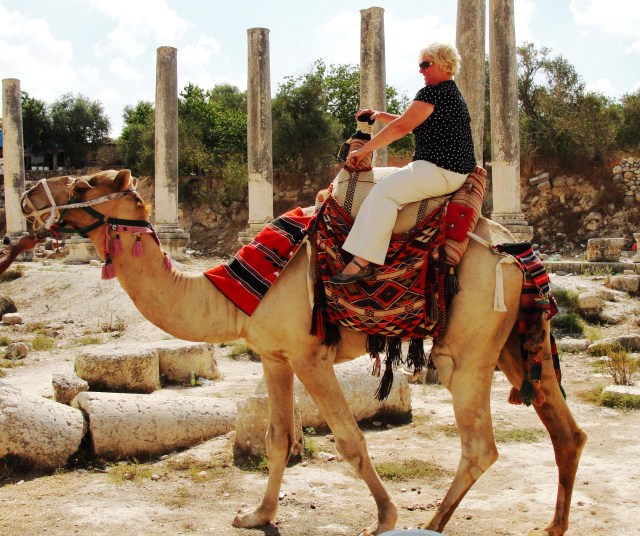 Camel at Samaria, Samaria, Dromedary, Camel, Archaeology, Ruins, Israel, Camel Ride, Hump Day