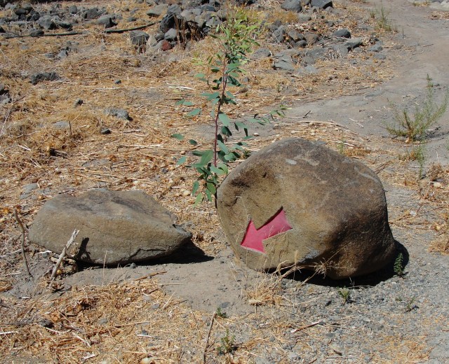 Arrow on Rock Pointing into the ground