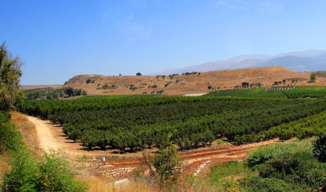 Tel-Abel Abel of Beth Maacah 