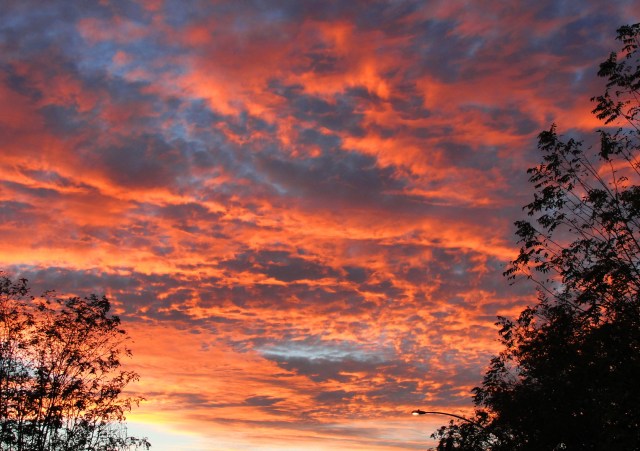 October Sunset California Red Sky Silhouettes