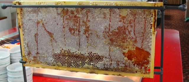 Honey Comb - Flowing with Milk and Honey - Tiberias - Breakfast