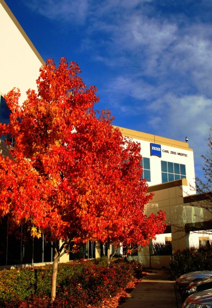 December Colors - Fall Foliage - Dublin, California - Zeiss