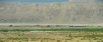 Jordan River Valley - Jericho - Dead Sea - Flood stage