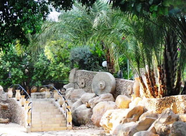 city of palms - Jericho - Palm Trees - Judges - Ehud and Eglon 