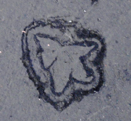 Leaf outlines - Parking lot surface - Water shadow 