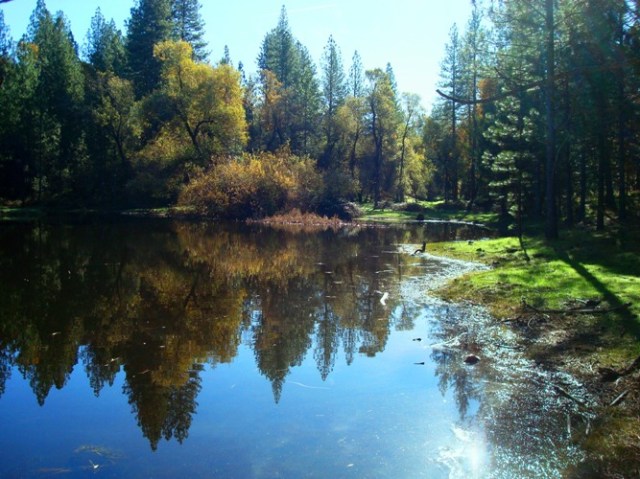 Pine Mountain Lake - Valley Pond - Serenity - Reflections - California Foothills