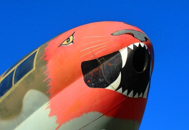 Curtiss Commando C-46D - Cargo Plane - Plane Nose Art