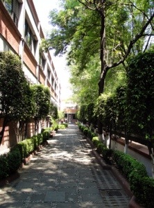 Coyoacan, Carl Zeiss Mexico Office, office compound
