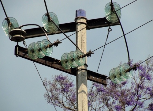 Colorful Coyoacan - Streets of Coyoacan - Colorful Trees - Jacaranda trees (Jacaranda mimosafolia) - Glass Insulators - Power Lines - Mexico City