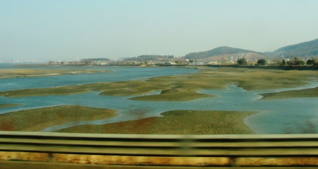 South Korea Countryside - Marshland - Incheon to Seoul - Limousine Bus