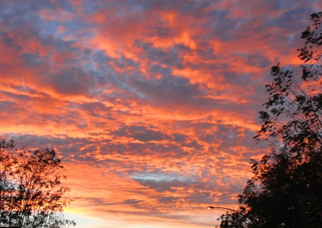 Sunset - California Sunset - Twinkies - Hostess Brands