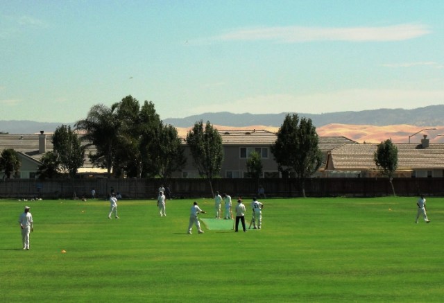 Cricket Pitch - Tracy, California - Cricket in the US - American Cricket