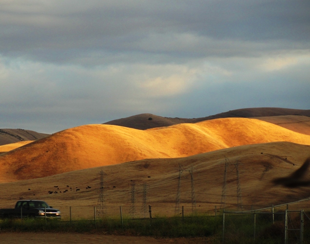 Golden Hills - Central Valley California - Gold in them there hills - Sun shining on hill