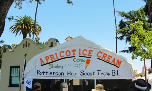 Apricot Ice Cream - Apricot Fiesta - Hand Churned Ice Cream - Boy Scouts - Patterson, California