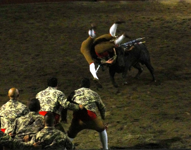 Suicide Squad - Forcados - Portuguese-style bullfighting - Pega de cara