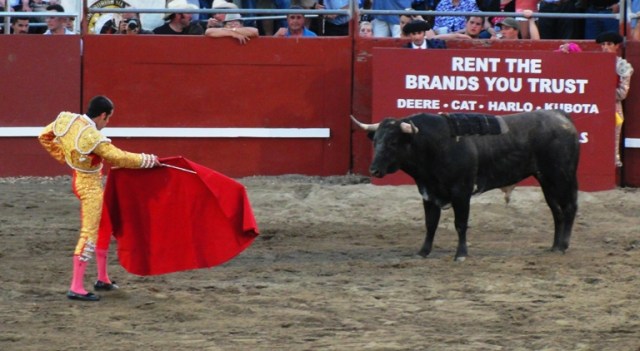 Grande Corrida de Toiros - Bloodless Bullfight - Camp Pequeno Bullring - Caveleiros