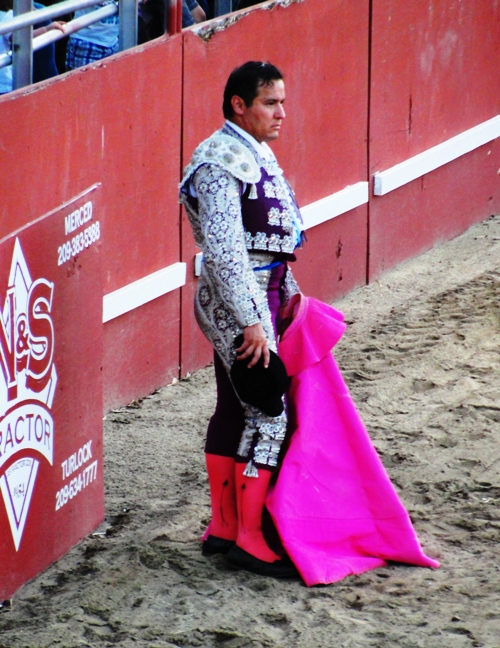 Matador - Portuguese-style bullfighting - bloodless bullfighting