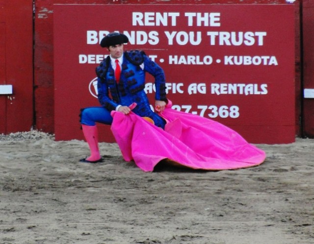 Matador - Portuguese-style bullfighting - bloodless bullfighting