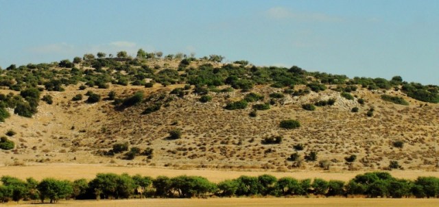 Khirbet Qeiyafa - Elah Fortress - Elah Valley - David and Goliath