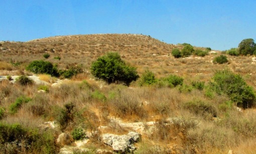 Tel Burna - Archaeology - Tel Burna Excavation - Dig Season - Shephelah - Libna?