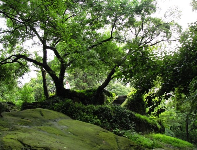 West Lake - Hangzhou - Island - Ancient Capital - Chinese ruins - Foliage