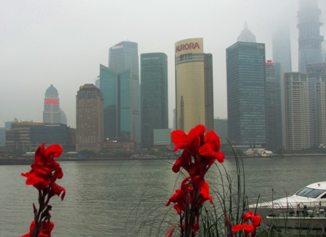 Shanghai Bund - Red Lily - Shangai, China - Skyscrapers - Skyline - riverside