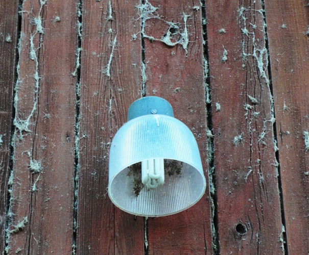 Light Fixture with cobwebs - Old Barn - cobwebs