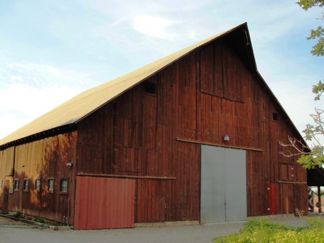 Old Barn - Patterson, California - California Central Valley - Orchard - Old Wooden Barn - Red Barn