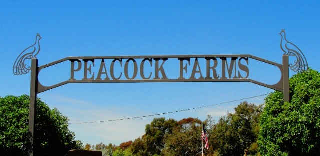 Peacock Farms - Arroyo Grande, California - Wedding at a farm - Wedding Venue