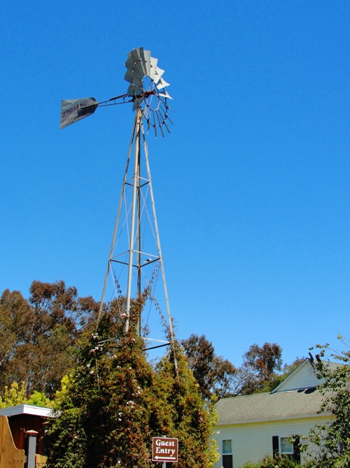 Windmill at Farm - Wedding at a farm - Peacock Farms - Wedding Venue - Arroyo Grande