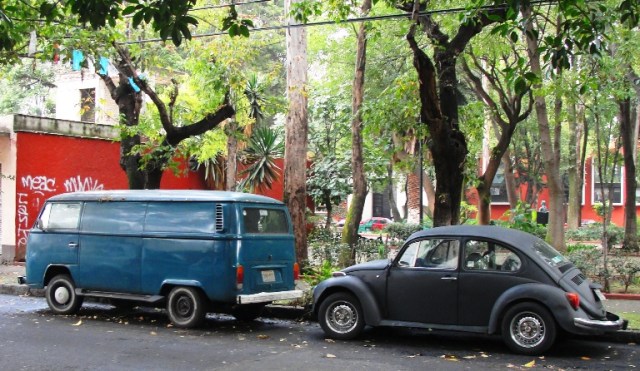 Classic VW Beetle - Volkswagen Beetle - Mexico City - Slug Bug - Punch Buggy 