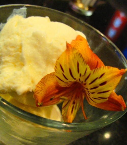 Mexican Vanilla Ice Cream - Ice Cream with Flower - Food Presentation - Desserts