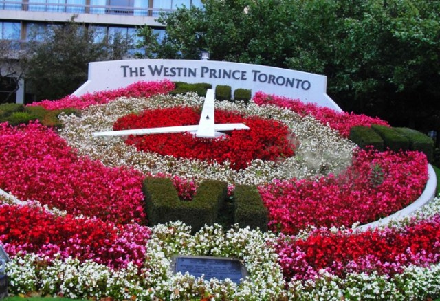 Westin Prince Toronto Canada - Flower Clock - Fall Colors - Floral Clock