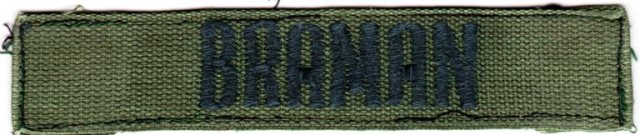 Veterans Day - Howard Braman - Vietnam - Germany - Korea - VFW - DAV