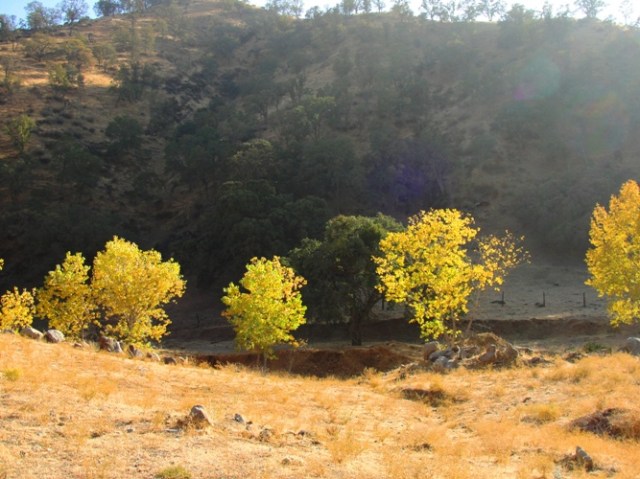Patterson, California - Golden Hills - Diablo Grande - Fall Color
