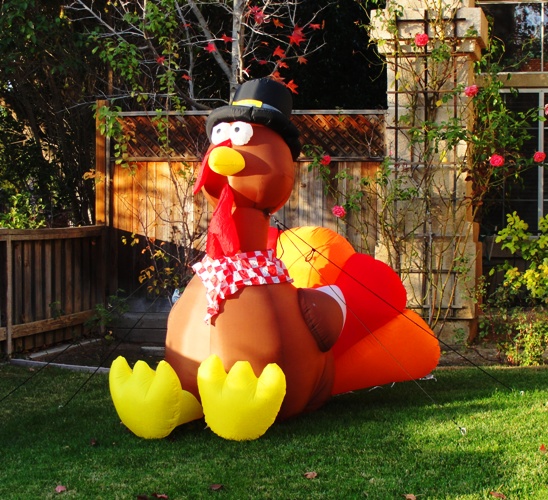 Thanksgiving Turkey - Blow Up Turkey - Thanksgiving Decorations - Feast Time