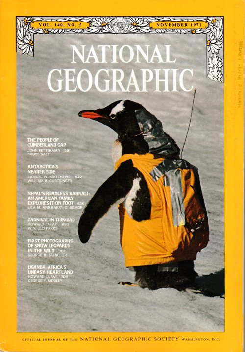 National Geographic - November 1971 - Gentoo Penguin - Antarctica's Nearer Side - Snow Leopards
