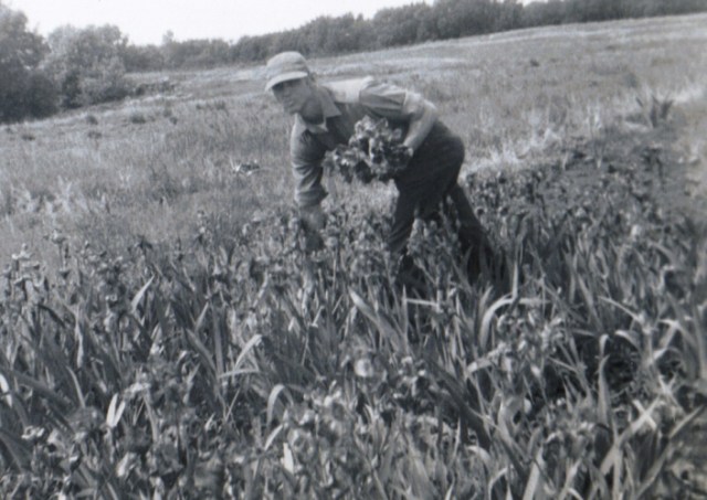 Grandpa - Nursery - Picking Flowers in Field - Interstate Nurseries - Memories