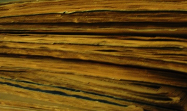 Scrapbooks - Memories - newspaper Clippings - Scrapbook page edges