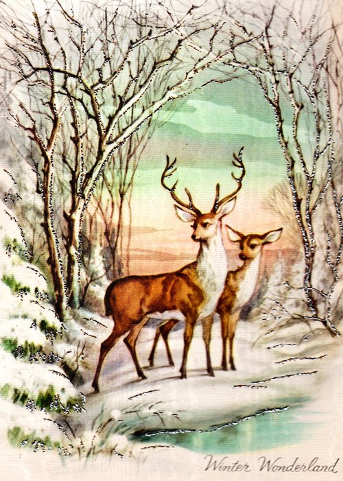 Winter Wonderland - Deer in snow - Winter Scene - Grandma's Scrapbooks - Old Seasonal Card - Big Buck