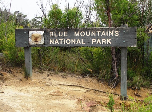 Blue Mountains National Park - Australia - New South Wales - Katoomba - Jamison Valley