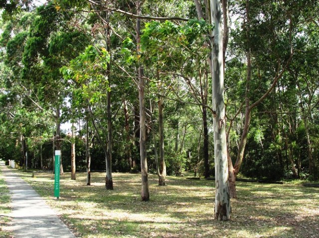 Summer in Australia - Summer Down Under - Australian Park