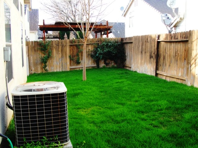 Winter Grass - Gree Grass - Time to Mow - Winter or Spring