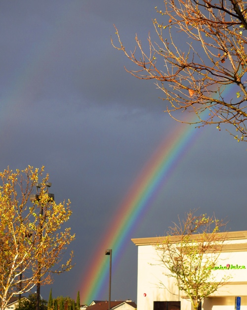Rainbow - Raindrops - water droplets - Reflection and Refraction - Spring Showers