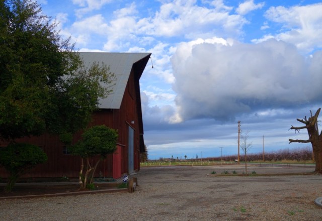 Orchard Barn - Central Valley California - Red Barn - Cloudy Day - Orchards