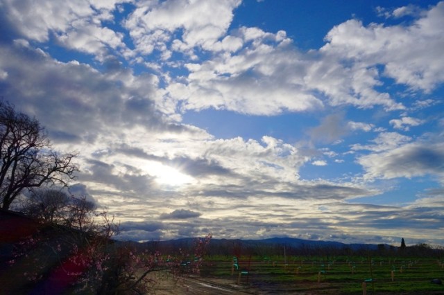 Sunset - Clouds - Orchard Country - Patterson Hills - Central Valley