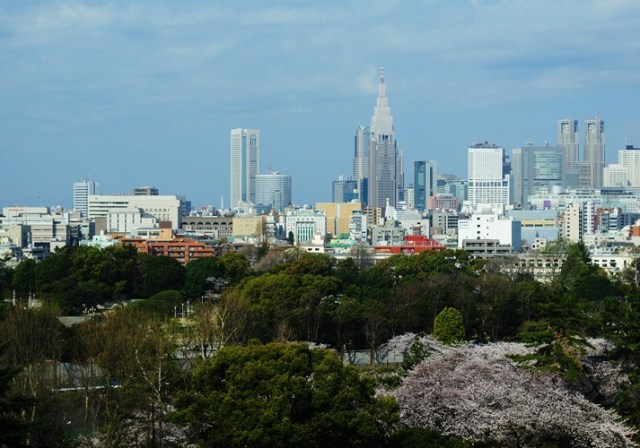 Cherry Blossoms - Tokyo - Japan - New Otani - Shinjuku 